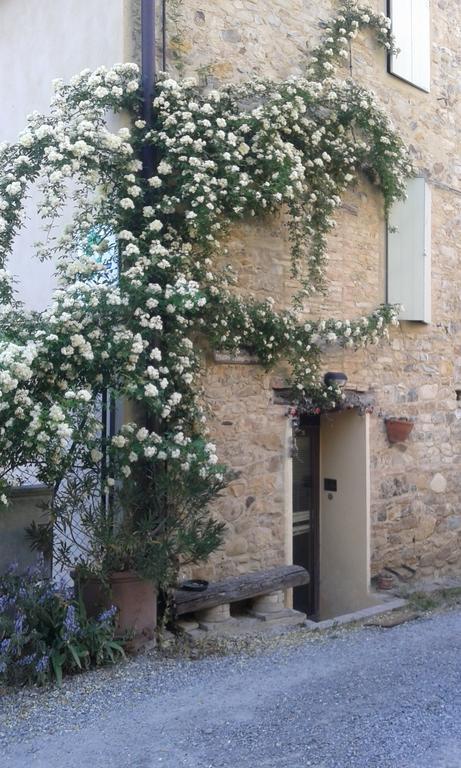 Agriturismo Il Gelso Traversetolo 외부 사진