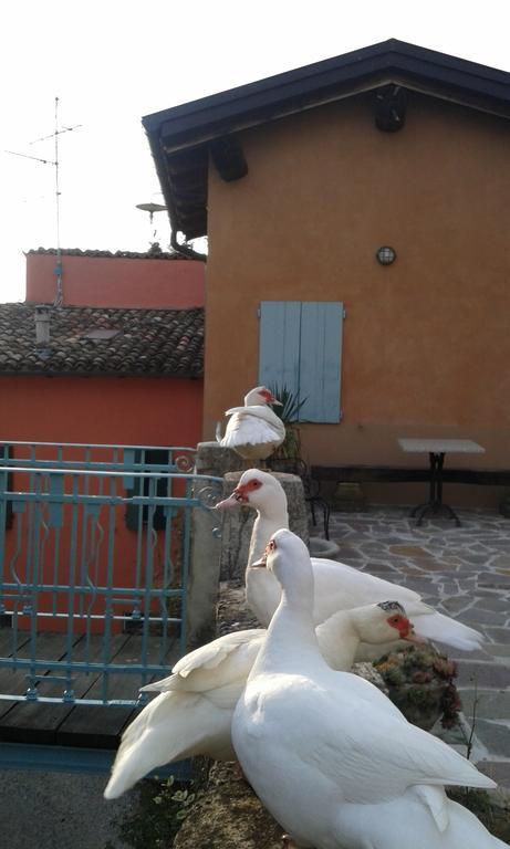 Agriturismo Il Gelso Traversetolo 외부 사진