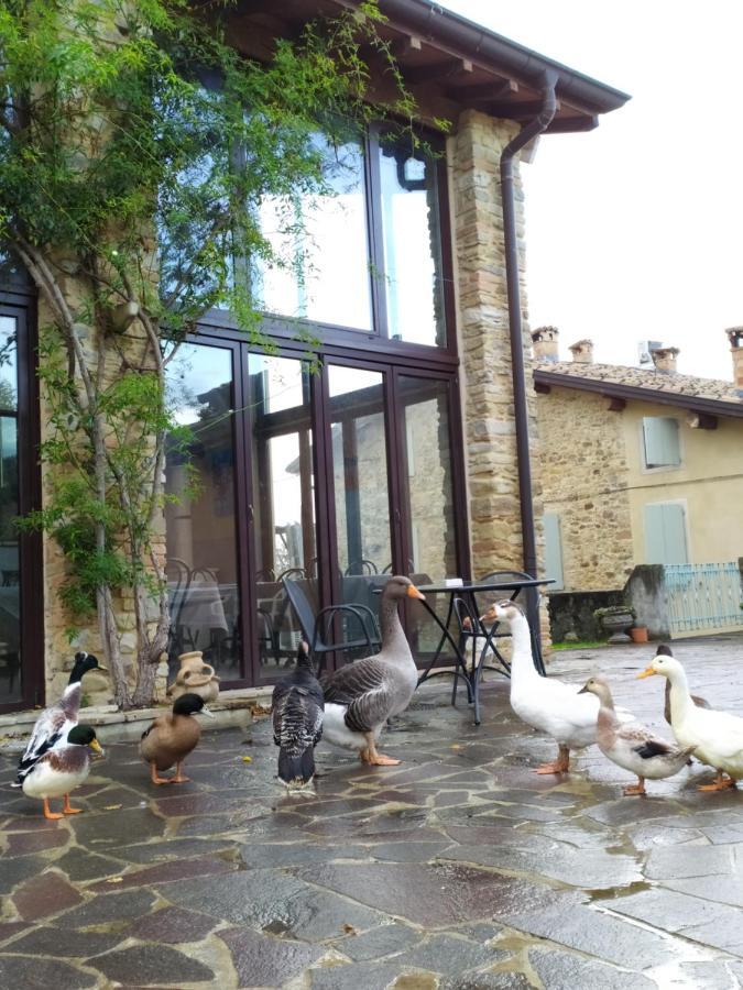 Agriturismo Il Gelso Traversetolo 외부 사진